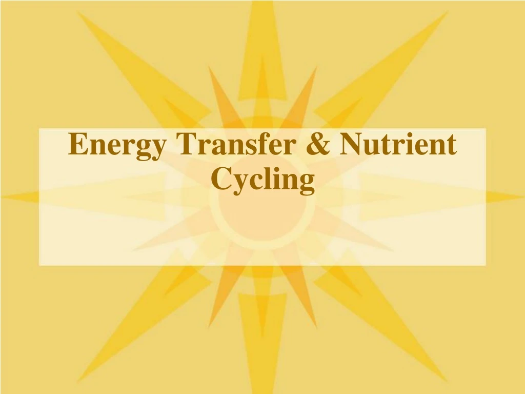 energy transfer nutrient cycling