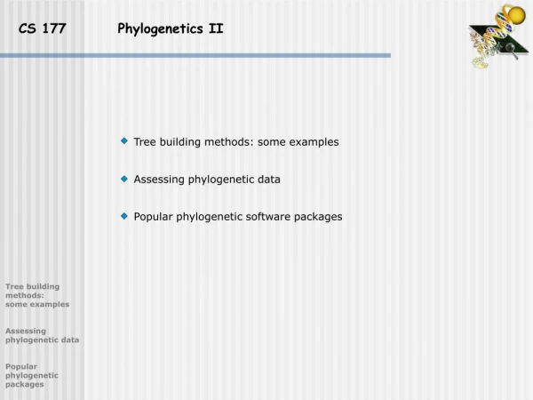 CS 177          Phylogenetics II