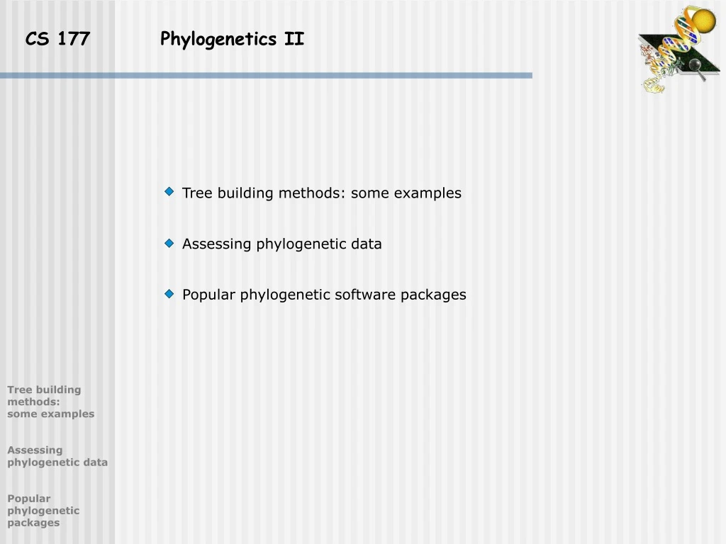 cs 177 phylogenetics ii