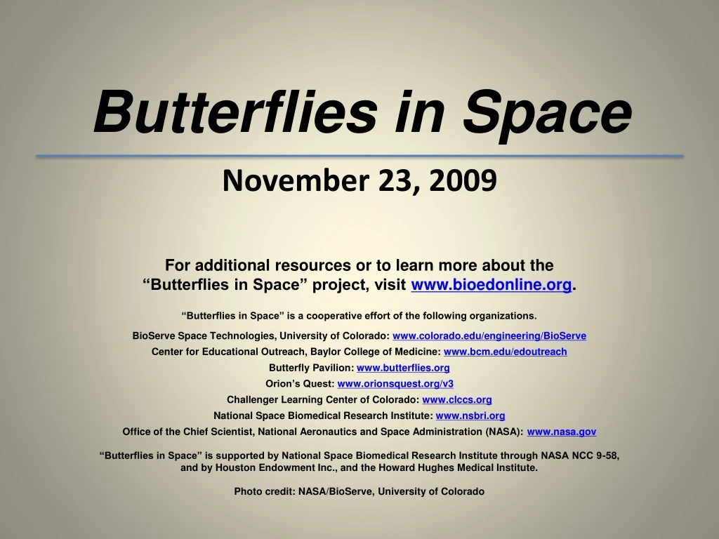 butterflies in space november 23 2009