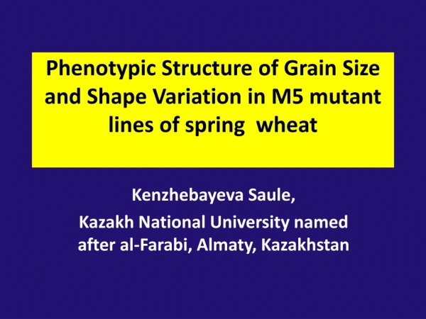 Phenotypic Structure of Grain Size and Shape Variation in M5 mutant lines of spring  wheat