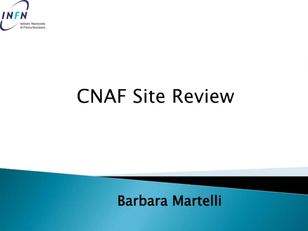 CNAF Site Review