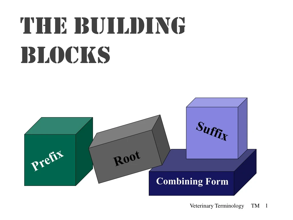 the building blocks