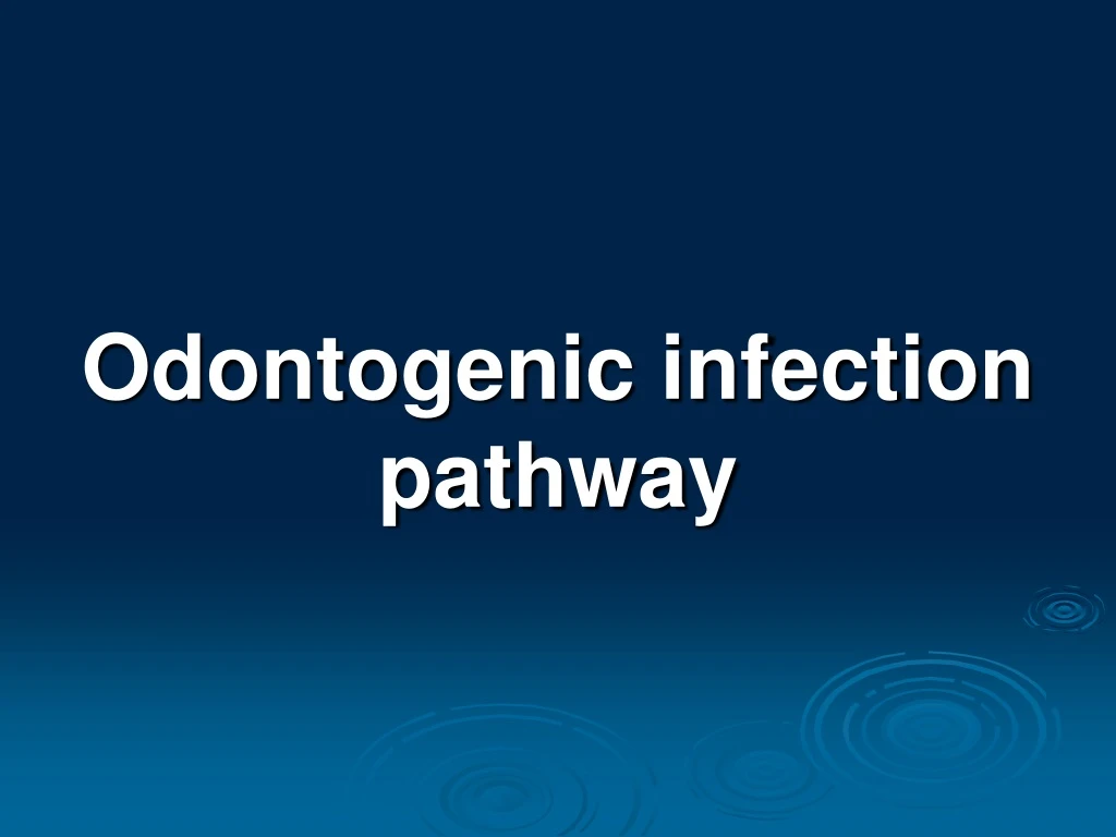 odontogenic infection pathway