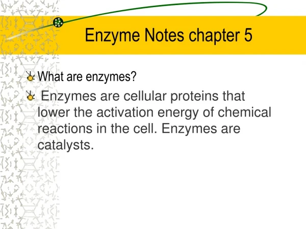 Enzyme Notes chapter 5