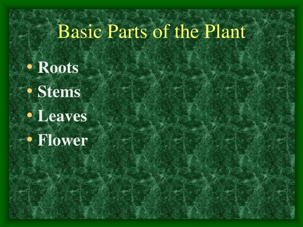 basic parts of the plant