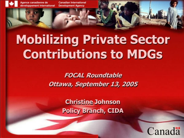 Mobilizing Private Sector Contributions to MDGs FOCAL Roundtable  Ottawa, September 13, 2005