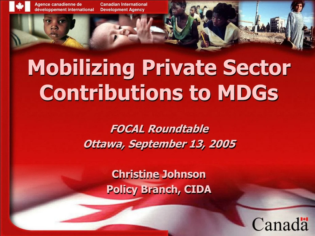 mobilizing private sector contributions to mdgs