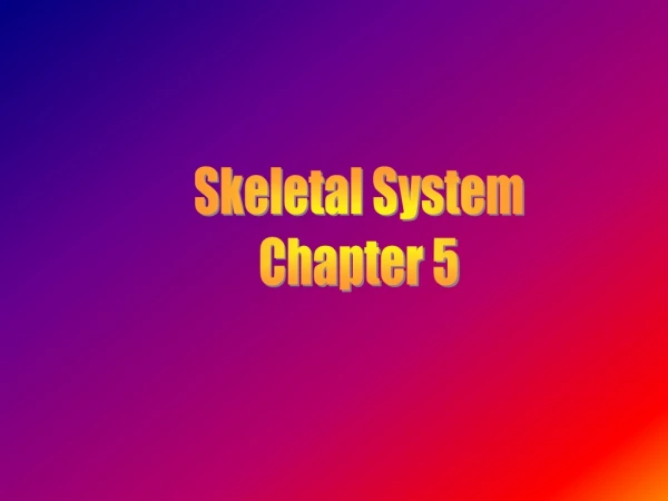 Skeletal System Chapter 5