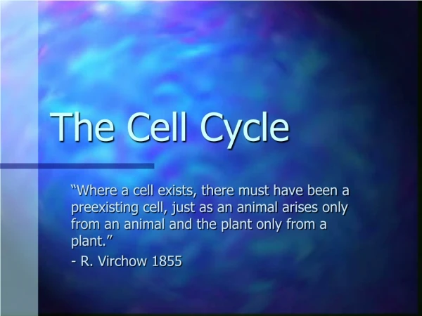 The Cell Cycle