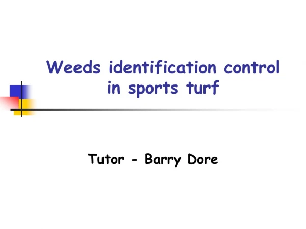 Weeds identification control in sports turf