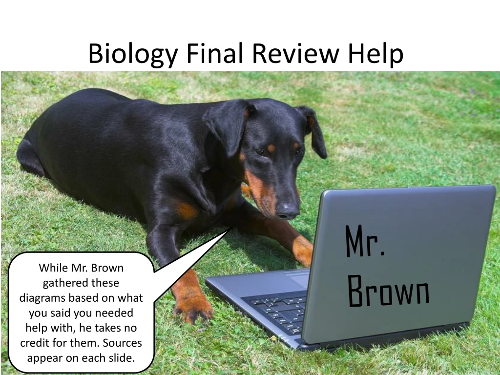 biology final review help