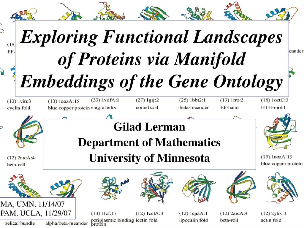 exploring functional landscapes of proteins via manifold embeddings of the gene ontology