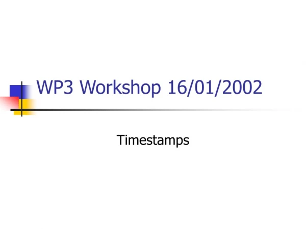 WP3 Workshop 16/01/2002
