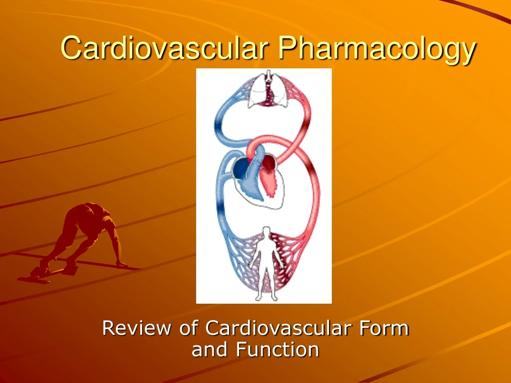 cardiovascular pharmacology