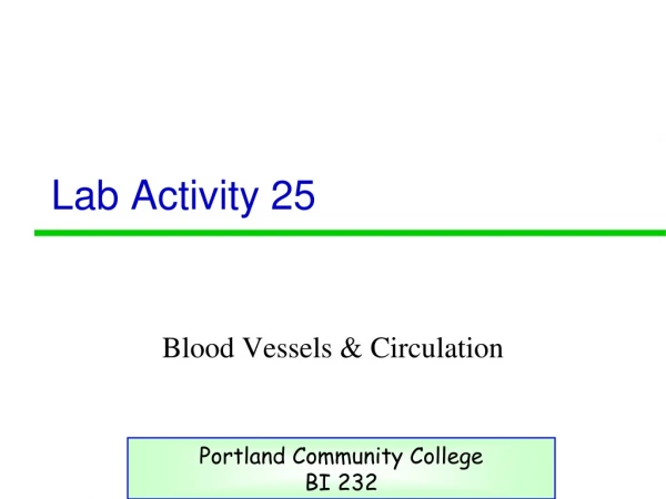 Lab Activity 25