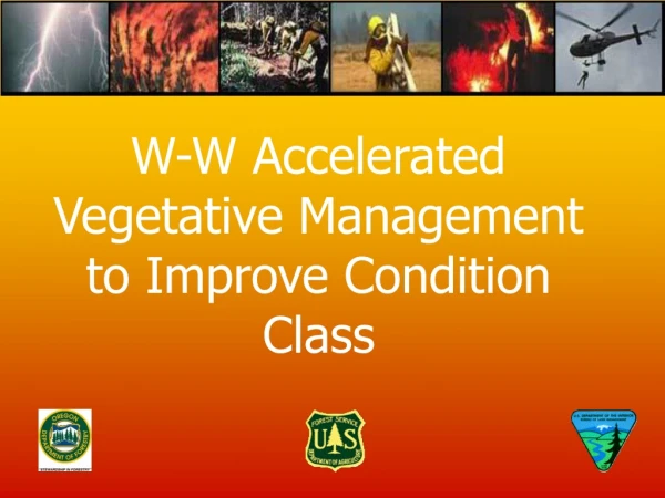 W-W Accelerated Vegetative Management to Improve Condition Class