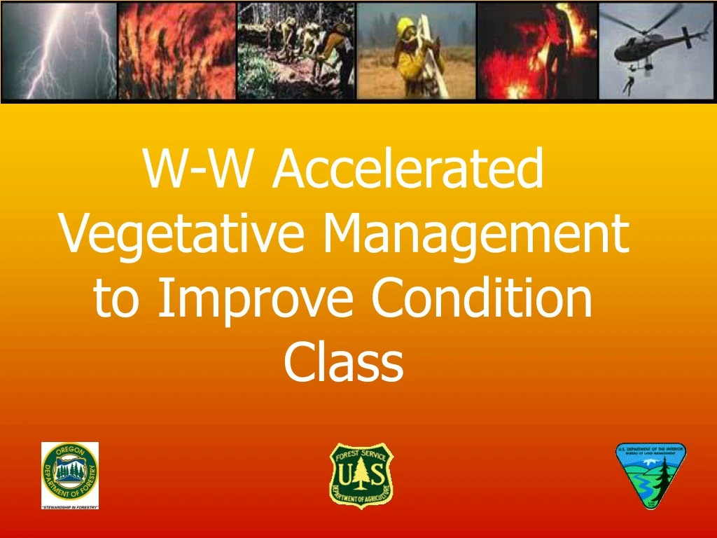 w w accelerated vegetative management to improve condition class