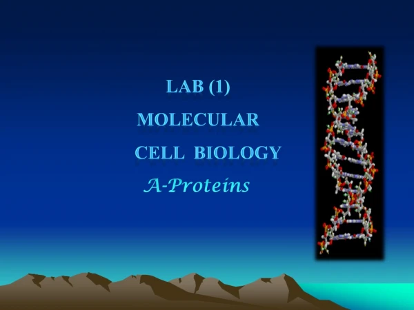 Lab (1) Molecular Cell  Biology A-Proteins