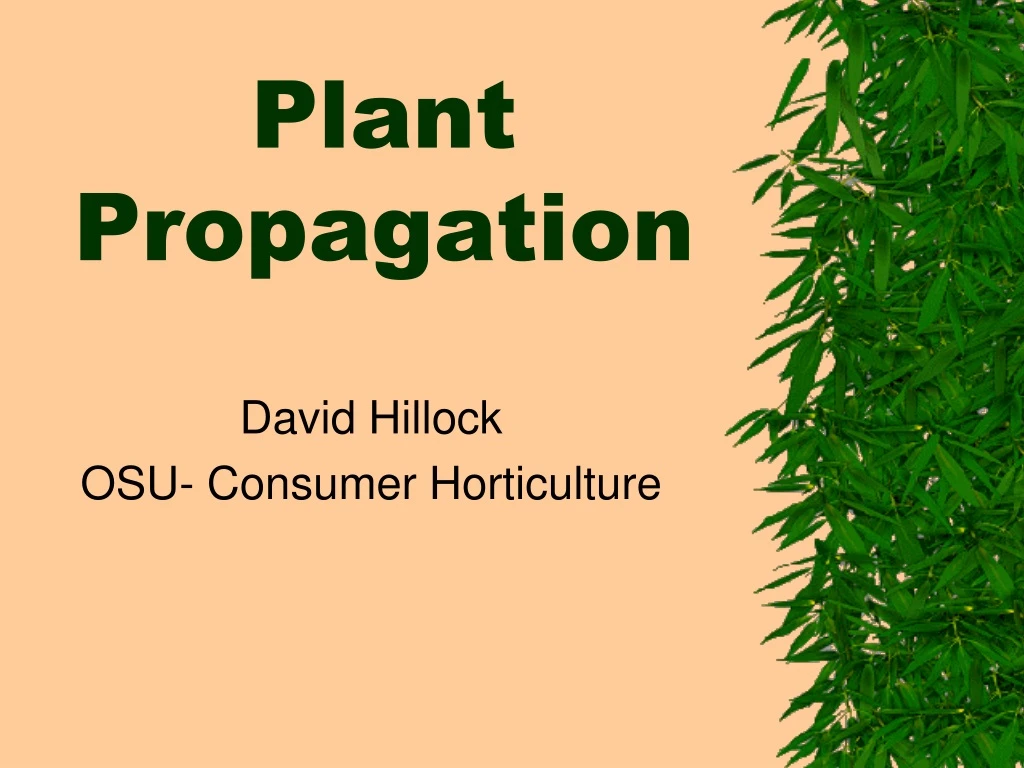 plant propagation