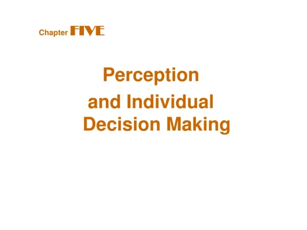 Perception  and Individual  Decision Making