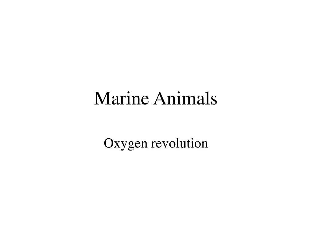 marine animals