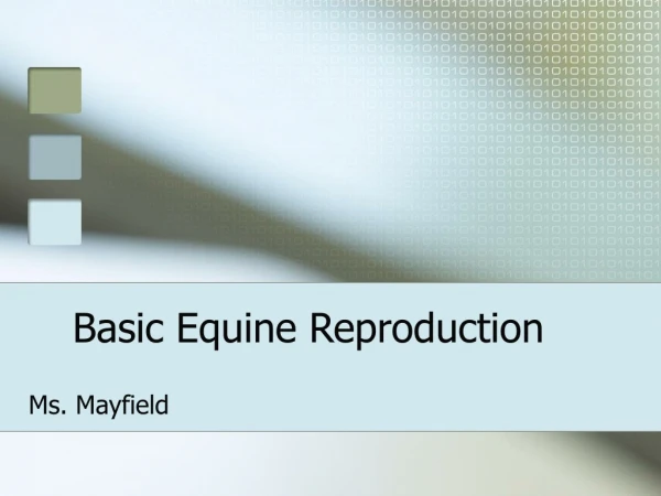 Basic Equine Reproduction