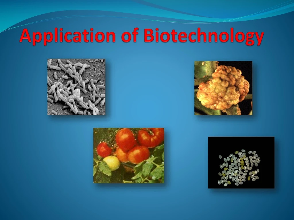 application of biotechnology