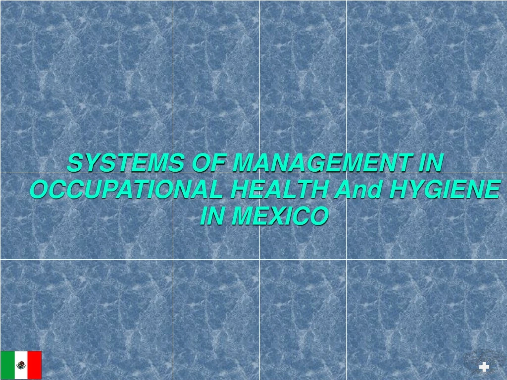 systems of management in occupational health