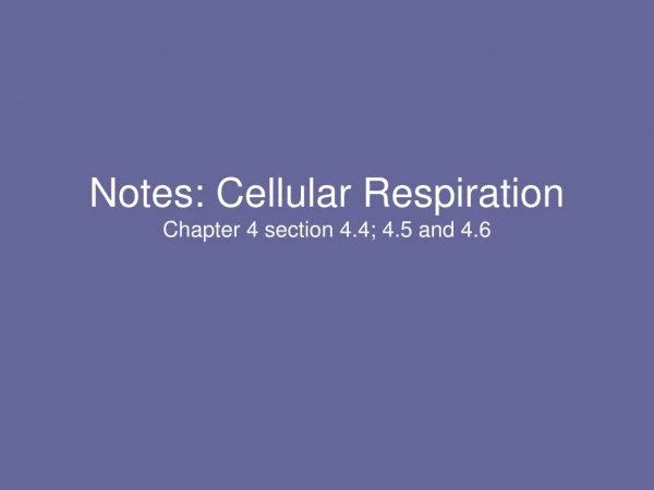 Notes: Cellular Respiration Chapter 4 section 4.4; 4.5 and 4.6