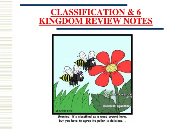 CLASSIFICATION &amp; 6 KINGDOM REVIEW NOTES