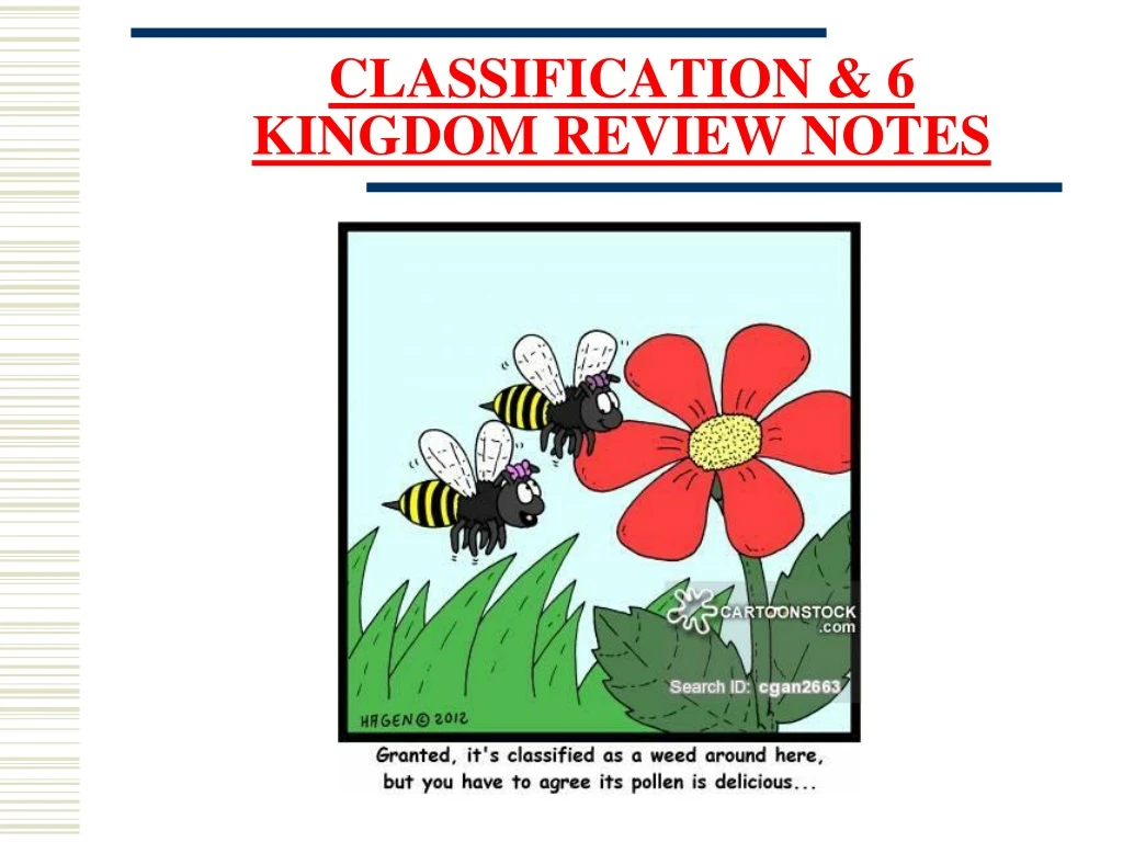 classification 6 kingdom review notes