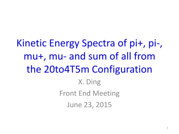 Kinetic Energy Spectra of pi+, pi-, mu+, mu- and sum of all from the 20to4T5m Configuration