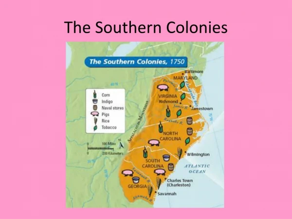 The Southern Colonies