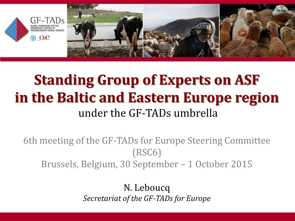standing group of experts on asf in the baltic