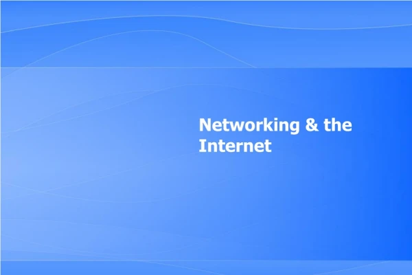 Networking &amp; the Internet