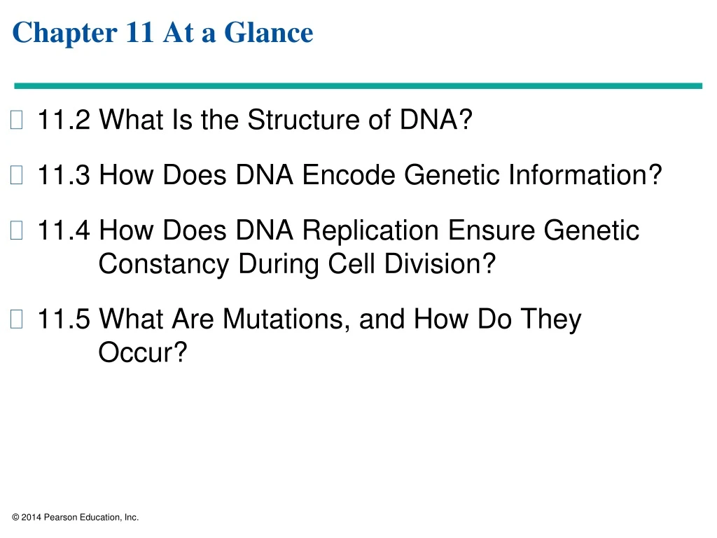 chapter 11 at a glance