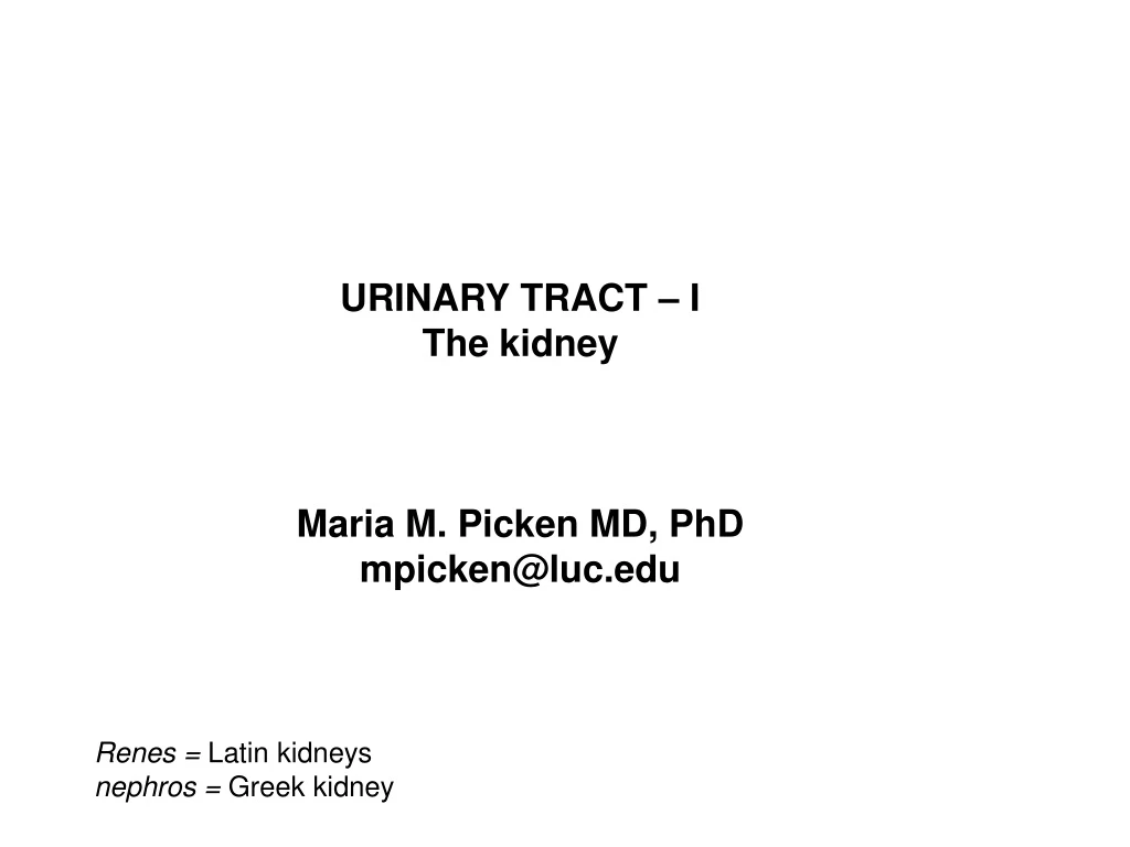 urinary tract i the kidney maria m picken