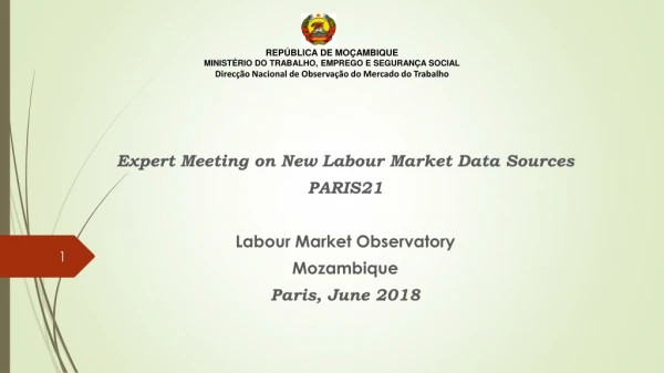 Expert Meeting on New  Labour  Market  D ata Sources PARIS21 Labour Market Observatory