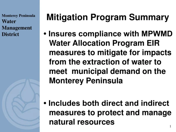 Mitigation Program Summary