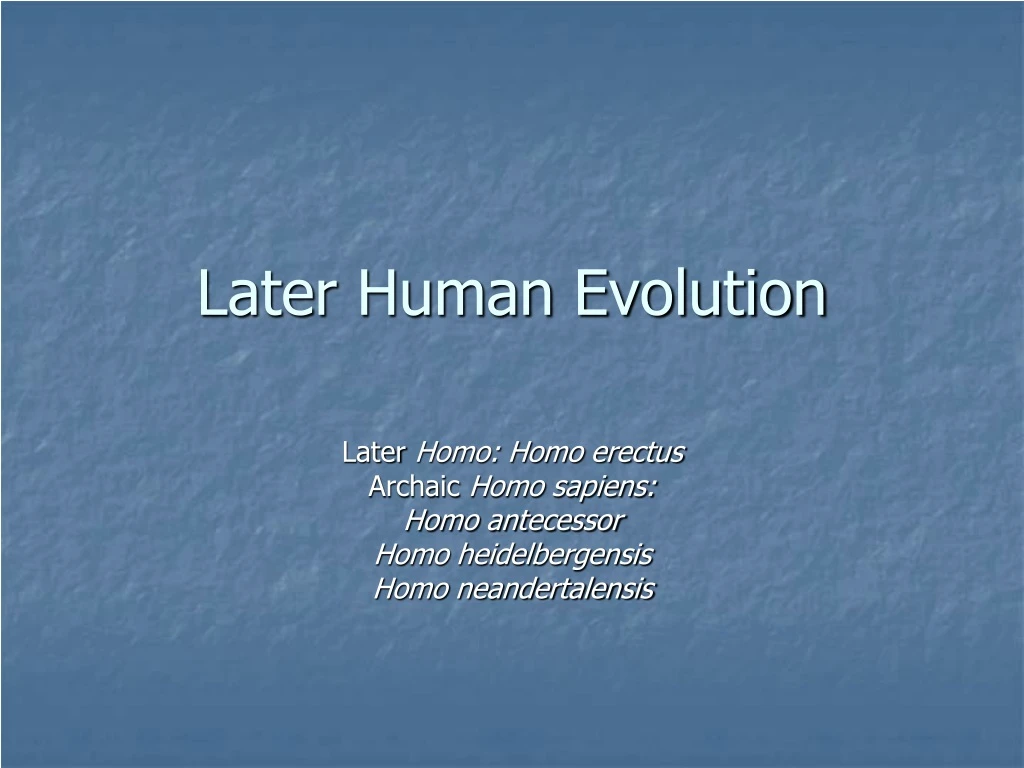 later human evolution