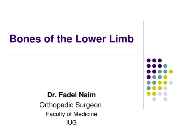 Bones of the Lower Limb