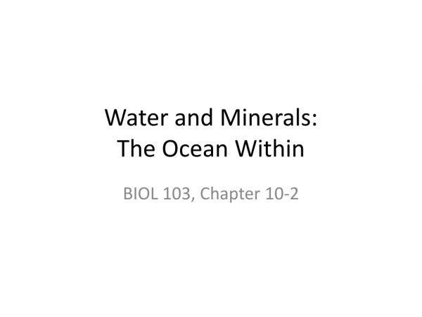 Water and Minerals:  The Ocean Within