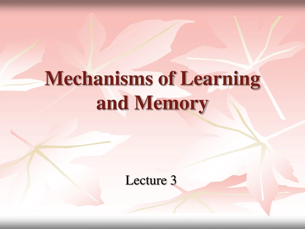 mechanisms of learning and memory