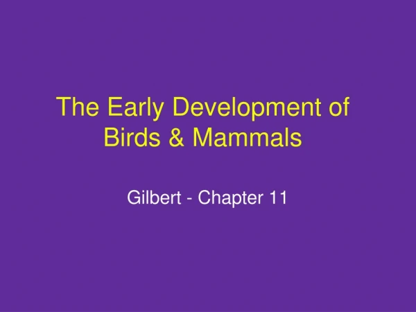 The Early Development of Birds &amp; Mammals