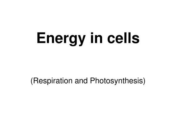 Energy in cells