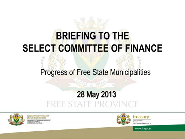 BRIEFING TO THE  SELECT COMMITTEE OF FINANCE