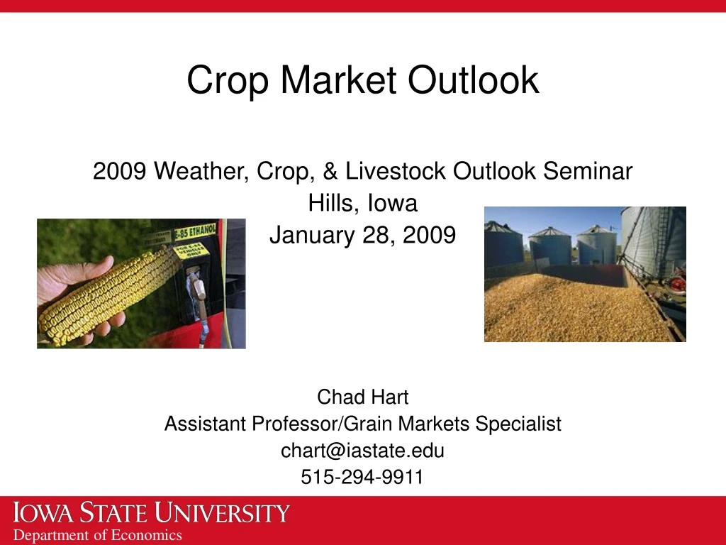 crop market outlook