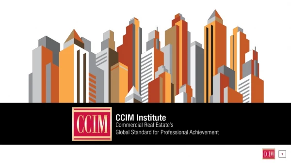 What is  CCIM INSTITUTE ?