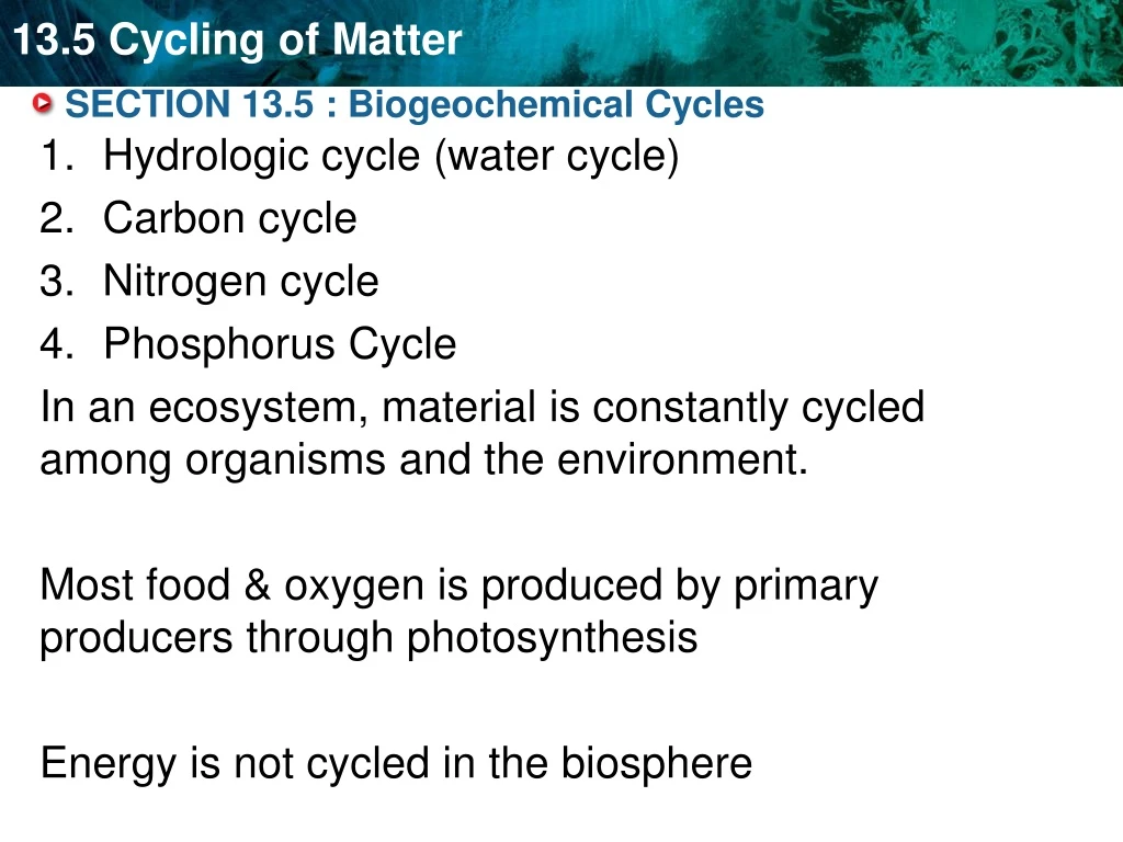 section 13 5 biogeochemical cycles